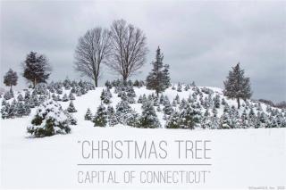 Christmas Tree Capital