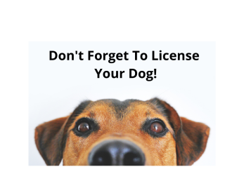 Renew Dog Licenses