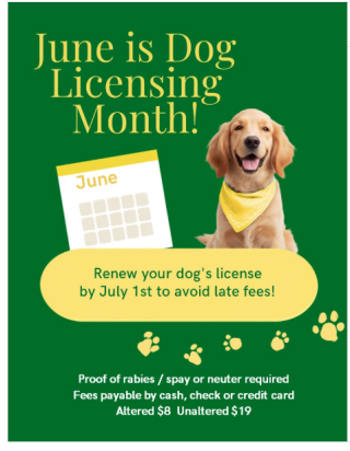 June is time to renew your dog license with picture of dog