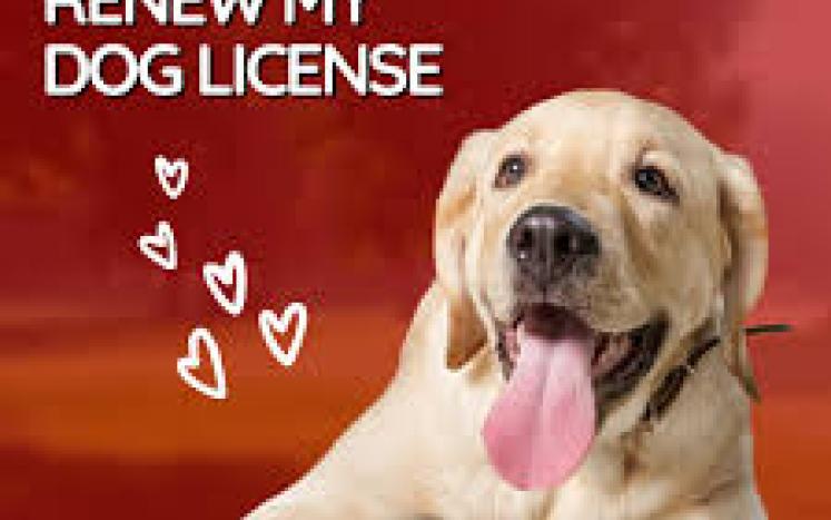 It's time to renew my Dog License with picture of Dog