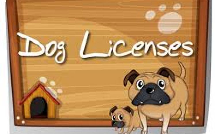 Dog Licenses image