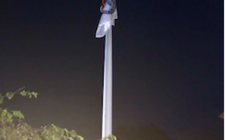 Flag Pole Image