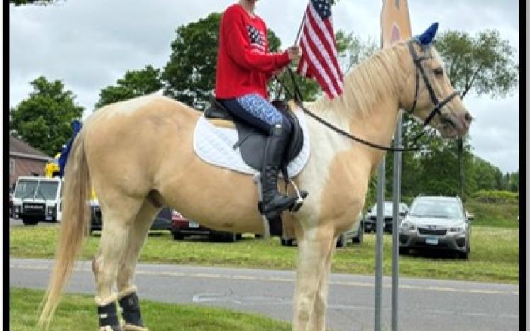 "Popcorn" the horse
