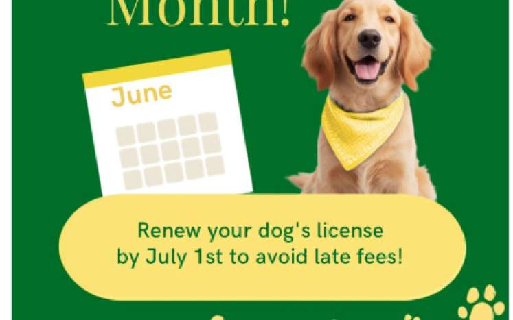 June is time to renew your dog license with picture of dog